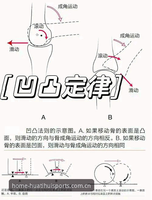 华体会体育平台使用技巧 华体会体育平台使用技巧最新动态:陈毅分享的五大创新玩法让体验升级